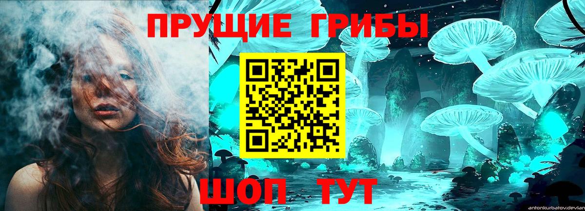 Карталы  Галлюциногенные грибы мицелий  Вход с VPN 